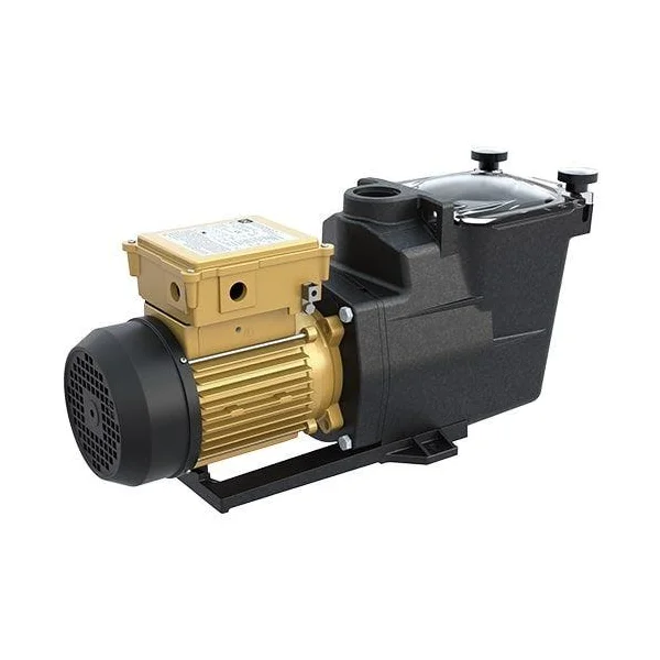 Super Pump 700 1.0 HP Pool Pump - Single Speed (Expert Line)