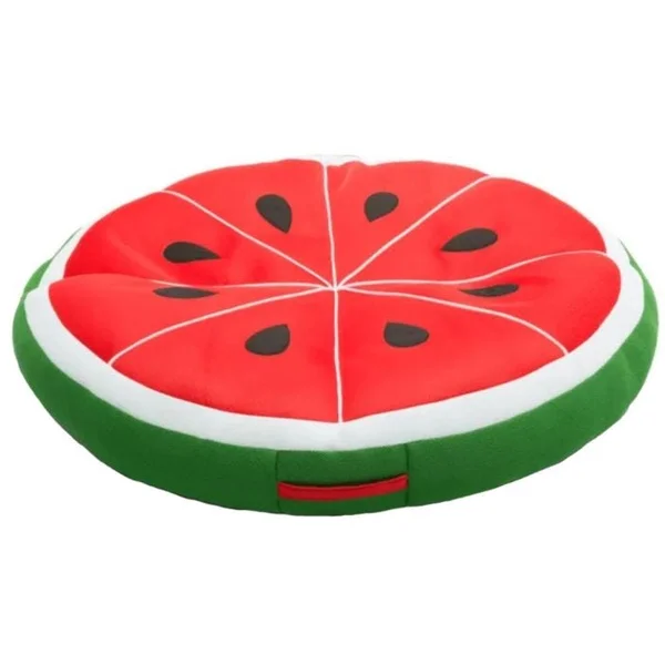 Fruit Slice Float - Watermelon