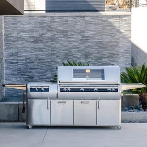 Fire Magic Echelon Diamond E1060s 48-Inch Natural Gas Grill w/ Power Burner, Rotisserie, Magic Window & Analog Thermometer - E1060S-9EAN-51-W