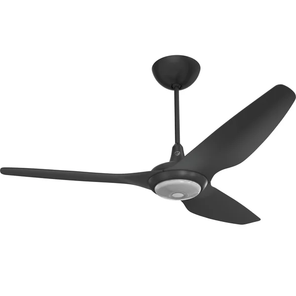 Big Ass Fans 60-Inch Haiku Ceiling Fan Universal Mount W/12-Inch Downrod & Downlight in Black - MK-HK4-052506A258F258G10I12S2