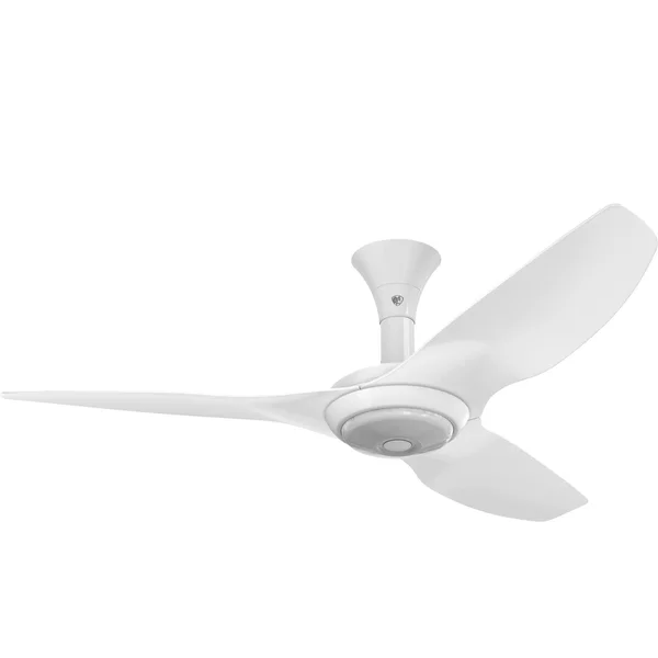 Big Ass Fans 52-Inch Haiku Ceiling Fan Low Profile Mount W/Downlight in White - MK-HK4-042500A259F259G10S2