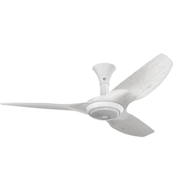 Big Ass Fans 52-Inch Haiku Ceiling Fan Low Profile Mount W/Downlight in White/Driftwood - MK-HK4-042500A259F772G10S2