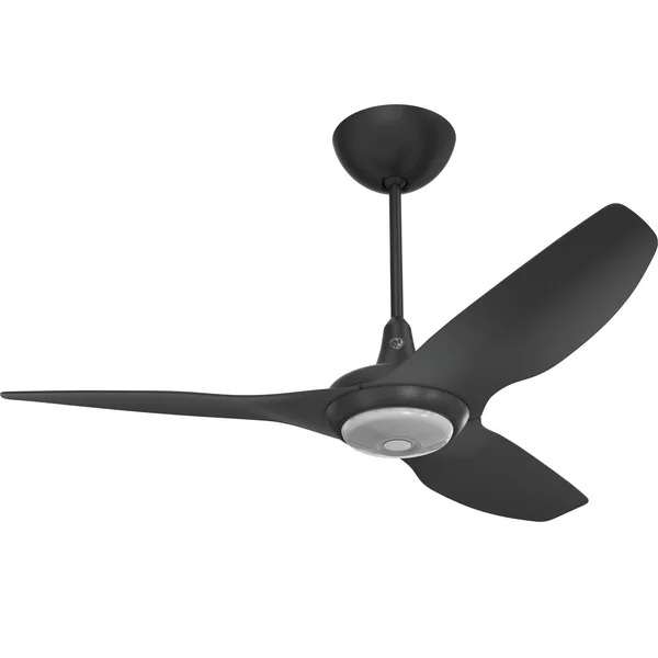 Big Ass Fans 52-Inch Haiku Ceiling Fan Universal Mount W/12-Inch Downrod & Downlight in Black - MK-HK4-042506A258F258G10I12S2