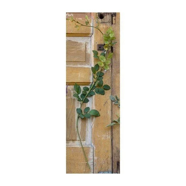 45.5" Handcrafted Banksia Rose Whip Stem