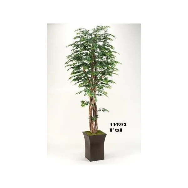 Faux Ming Aralia Tree in a Square Metal Planter