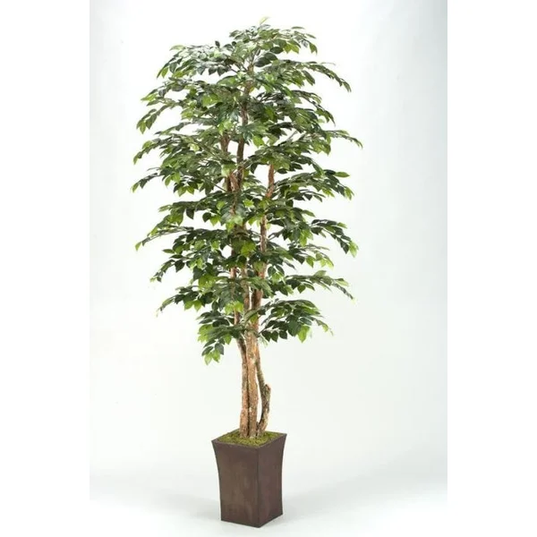 Faux Sakaki Tree in a Square Planter