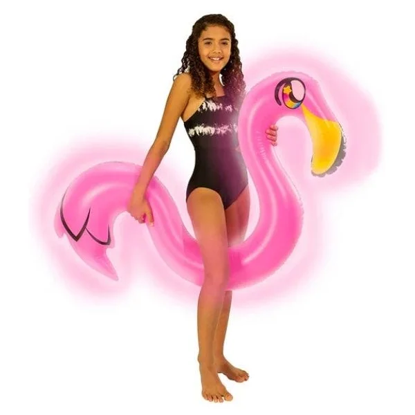Flamingo LED Ride-On Noodle